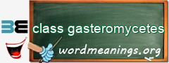 WordMeaning blackboard for class gasteromycetes